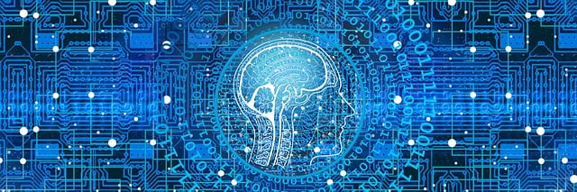 AI Wise Mind Software Review